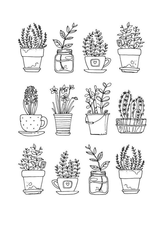 Plant Drawing Ideas